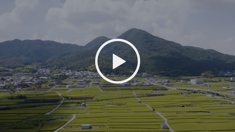 動画再生